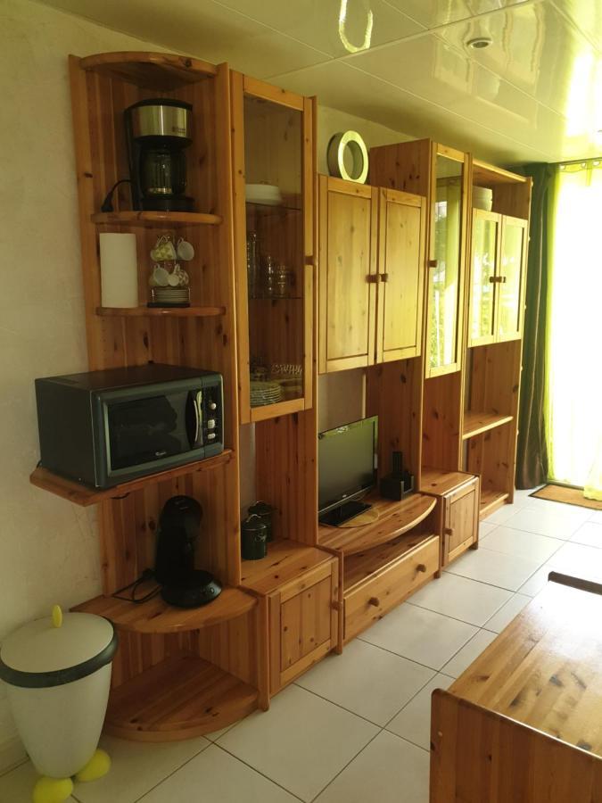 Familial, Rez De Chaussee,piscine Et Parking Prives Appartement *